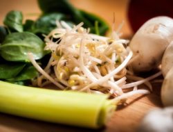 10 Manfaat Toge Bagi Kesehatan Tubuh yang Perlu Diketahui