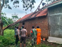 Personil Polsek Wonosari Bantu Evakuasi Pohon Tumbang Akibat Terjangan Angin Puting Beliung