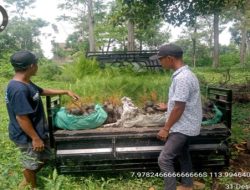 Awal Tahun 2024: Forester BKPH Bondowoso Giat Tanam Pinus dan Sadap Getah untuk Perekonomian Berkelanjutan