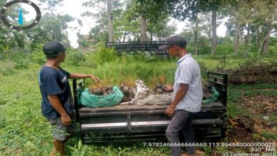 Forester BKPH Bondowoso