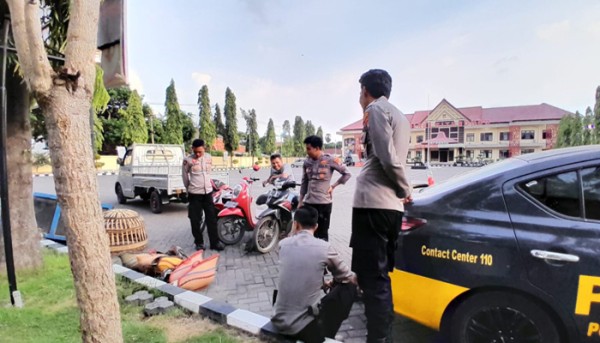 Judi Sabung Ayam di Sumber Anyar