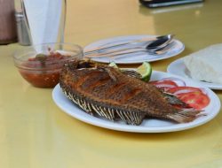 Konsumsi Ikan Nila Bisa Cegah Kanker, Ini Alasannya