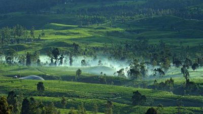 Pariwisata Berkelanjutan