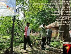 Langkah Preventif: Perhutani Pastikan Beach Forest Situbondo Tetap Aman Dan Nyaman