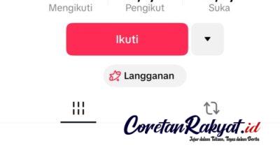 Akun Tiktok Fallin Beauty Ditutup Usai Skandal Beberapa Produk Yang Diduga Ilegal Terbongkar