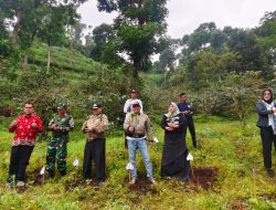 Pemkab Situbondo dan Perhutani Uji Coba Kopi Yellow Cattura di Argopuro