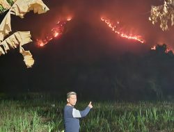 “Api Berkobar di Area Hutan Belakang Gudang Bulog Desa Klatakan Kecamatan Kendit Kabupaten Situbondo, Insiden Kebakaran Terjadi Tengah Malam Pukul 02.00 WIB”