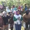 PTPN Minta Pengusutan Tuntas Perusakan Kebun Kopi Ijen, Kerugian Capai Rp400 Juta Lebih