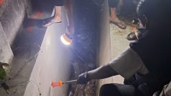 Duka Mendalam di Situbondo, Bidan RSUD Besuki Tewas Diduga Dibunuh Suami di Jalur Pantura Tampora